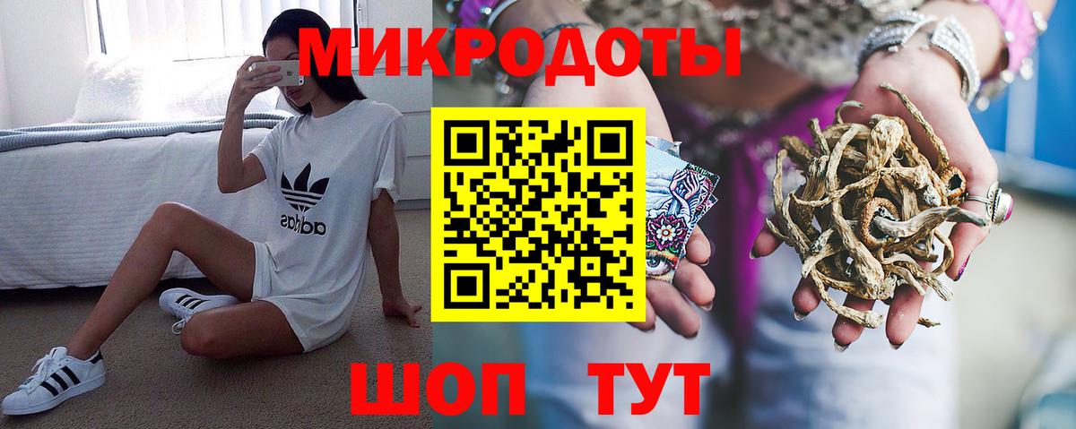 Псилоцибиновые грибы Psilocybe  Вход с VPN  Псилоцибиновые грибы мухоморы  Сатка 